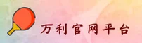 使用指南与常见问题